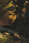 Colcci (-2009)