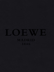 Loewe (-2009)